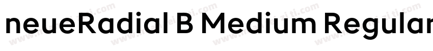 neueRadial B Medium Regular字体转换